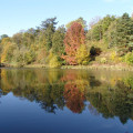 Parc des Côtes Montbron