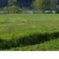 parc ecologique Carrières-sous-Poissy