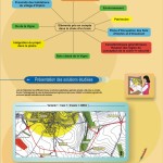 Les solutions étudiées Les solutions étudiées