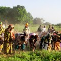 Les femmes du maraichage de Touban