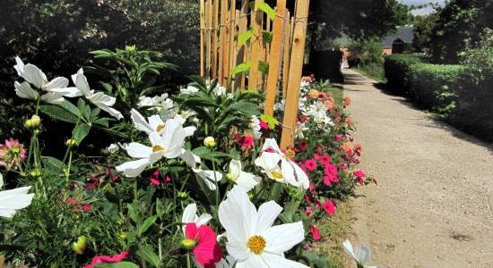 villes et villages fleuris