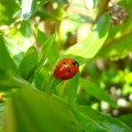 DSC08650