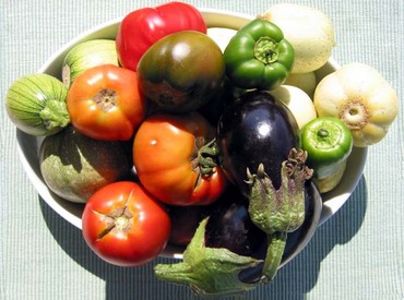 magny-les-hameaux legumes