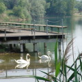 DSC05025
