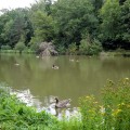 ETANG 2