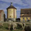 bergerie