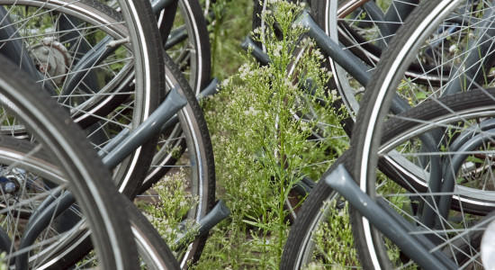 Des places pour les vélos à la mairie
