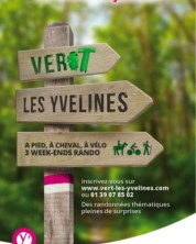 vertlesyvelines
