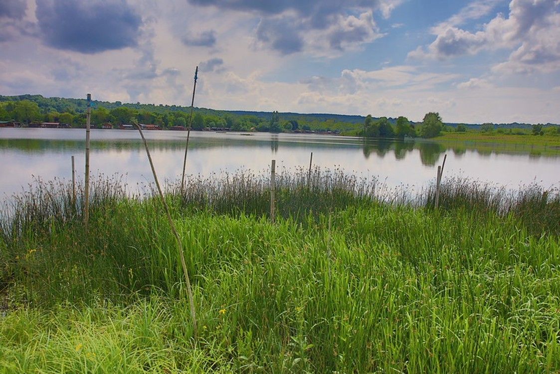 Retour sur la première édition de Pause Nature Aidants