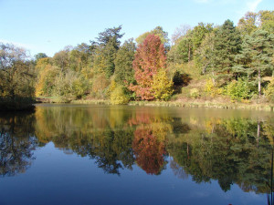 Le Parc des Côtes Montbron, à Jouy-en-Josas, est ouvert au public