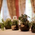 Brigades Vertes : la fleuristerie du Département