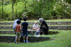 Juin au jardin revient au Musée Maurice Denis en 2022 © CD78/N.DUPREY
