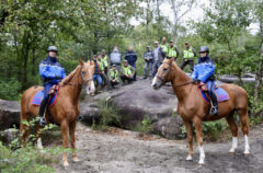 Des patrouilles pour mieux protéger les forêts des Yvelines © CD78/N.DUPREY