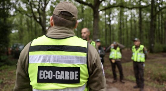 Éco-gardes