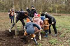 La plantation de vergers rapproche les générations dans les Yvelines © CD78/N.DUPREY