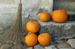 Pass Malin : les offres flash de l’automne 2021 © Fermes de Gally