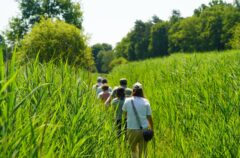 La sente des Bonnes Femmes traverse cette zone humide qui s’étend sur 15 hectares dans la vallée de la Rabette. ©CD78