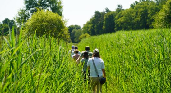 La sente des Bonnes Femmes traverse cette zone humide qui s’étend sur 15 hectares dans la vallée de la Rabette. ©CD78