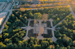La renaissance du bosquet de la Reine à Versailles
