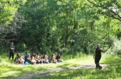 Les écodélégués grimpent aux arbres © CD78/C.BRINGUIER