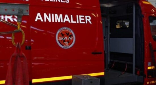 Le camion de sapeurs-pompiers pour les animaux