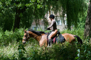 randonnée équestre - cheval