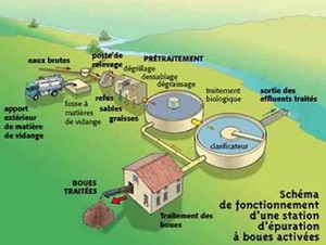 Schéma de fonctionnement d'une station d'épuration à boues activées, ADEME 2001