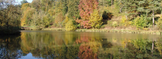 Parc départemental des côtes de Montbron