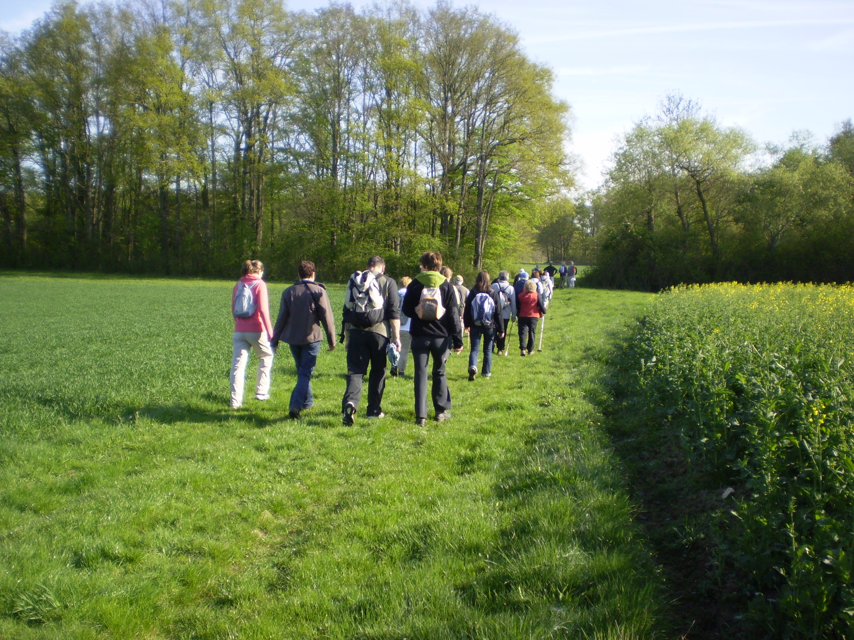 randonnee pedestre yvelines