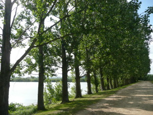 Parc Carrières-sous-Poissy