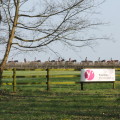 Randonnées vertes au Haras des Bréviaires