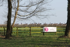 Randonnées vertes au Haras des Bréviaires