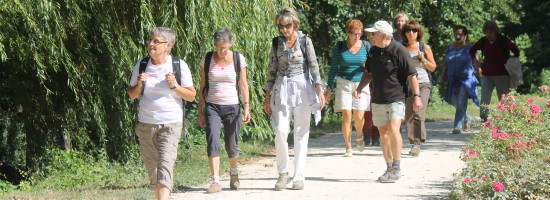 Une voie verte en bord de Seine