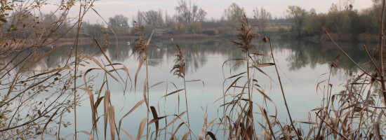 Le Parc de la Boucle de Montesson s’étend