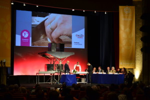 2013 - C. Guérin - CDT78