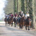 Haras des Bréviaires