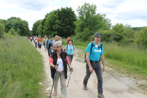 Vert les Yvelines randonnee pedestre 012