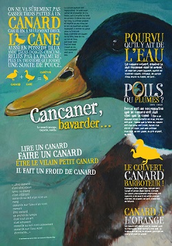 ANIMAUX_HD 2