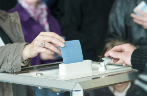 Elctions départementales