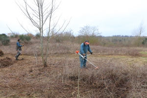 Montesson - compensation écologique et chantier d'insertion