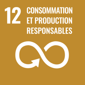 ODD 12 logo : consommation et production responsables
